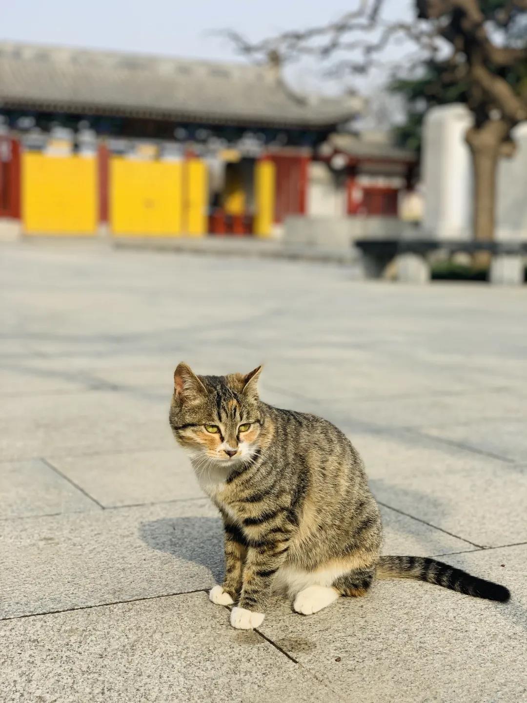 微信圖片_20210409095826.jpg