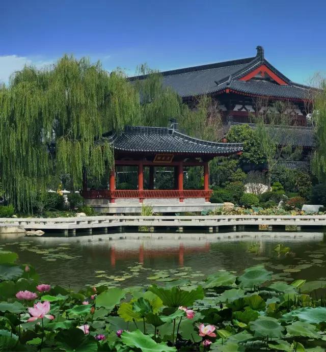 微信圖片_20210531093151.jpg