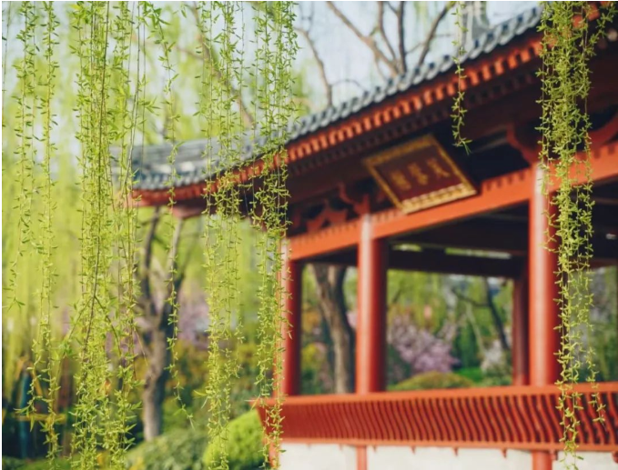 微信圖片_20220302155208.png