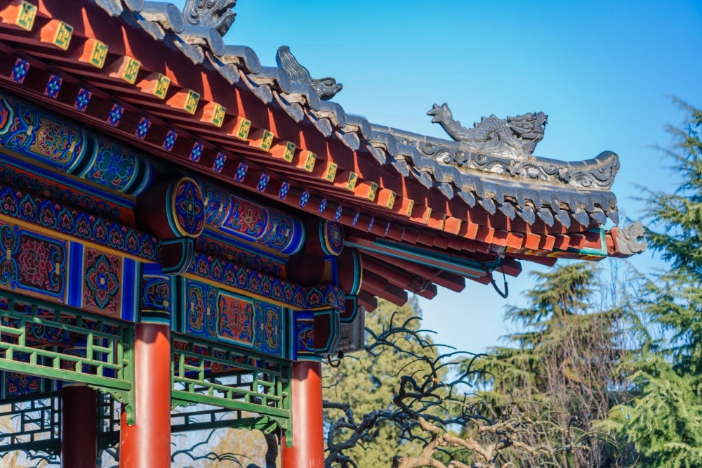 f0a342e12ab0d5bd3f1e5a98a905b50_副本.jpg