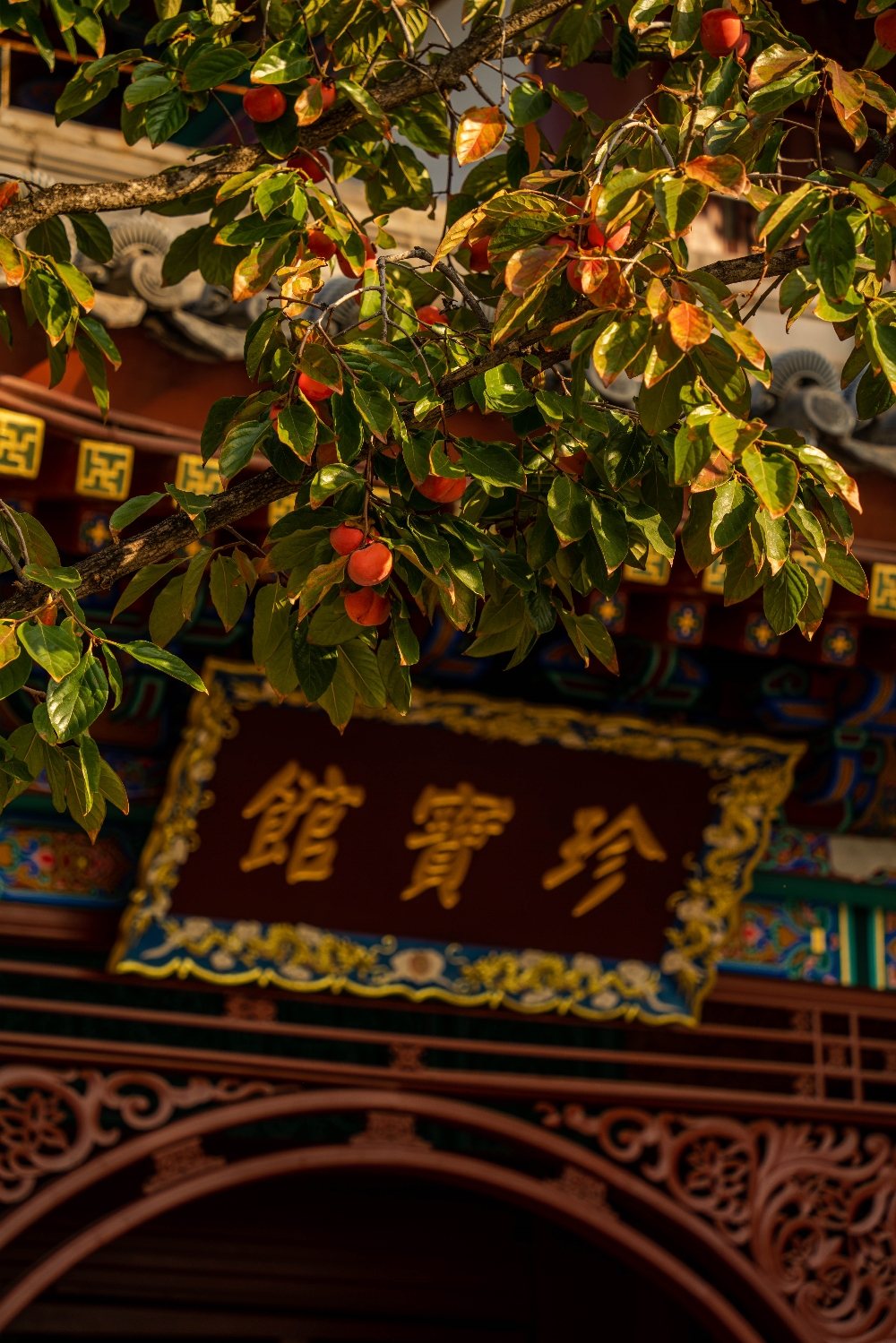 DSC06684-165_副本.jpg