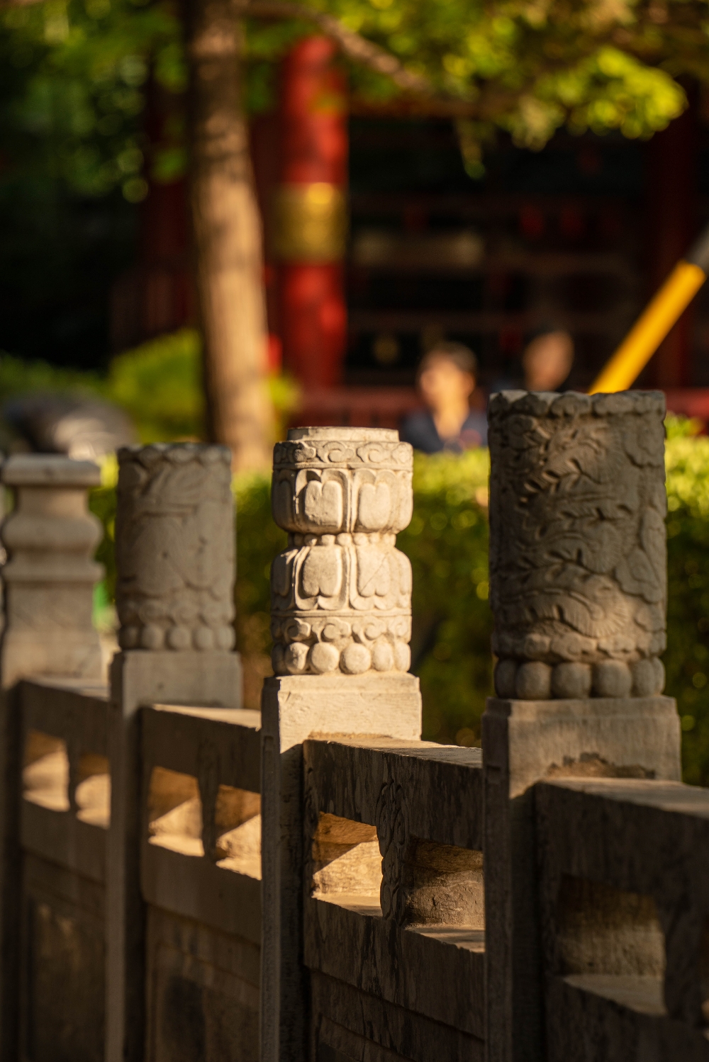 DSC06566-137_副本.jpg