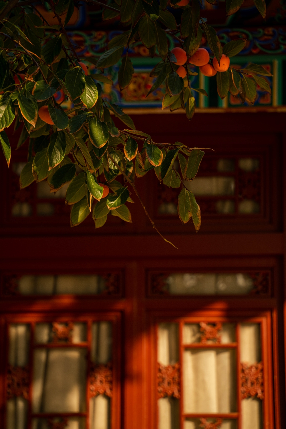 DSC06691-166_副本.jpg